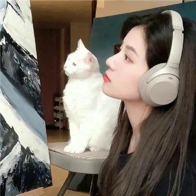 陌生人的慰籍